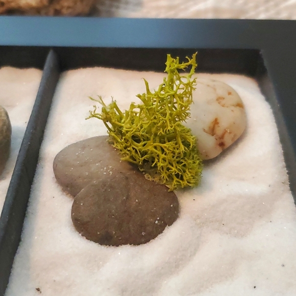 Tabletop Zen garden - Picture 3 of 4